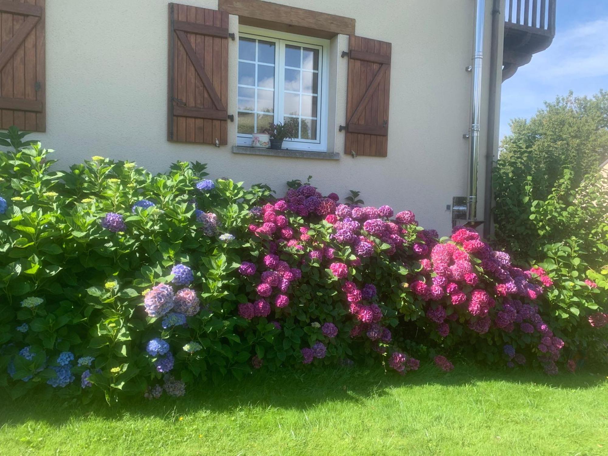 Chambres D'Hotes Le Bignon Dans Les Alpes Mancelles Villaines-la-Juhel Екстериор снимка